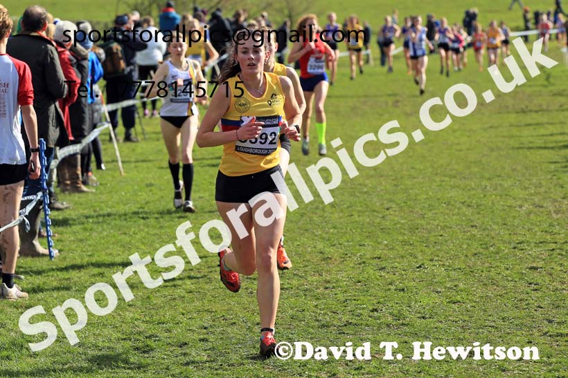 Womens Under-20s 2022 CAU Inter Counties Cross Country, Prestwold Hall, Loughborough.  Photo: David T. Hewitson/Sports for All Pics